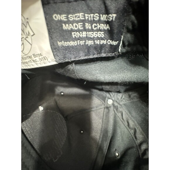 Space Jam Original Snapback Hat Bioworld Merch OFSA Adjustable Cap Black & Blue - Picture 8 of 9